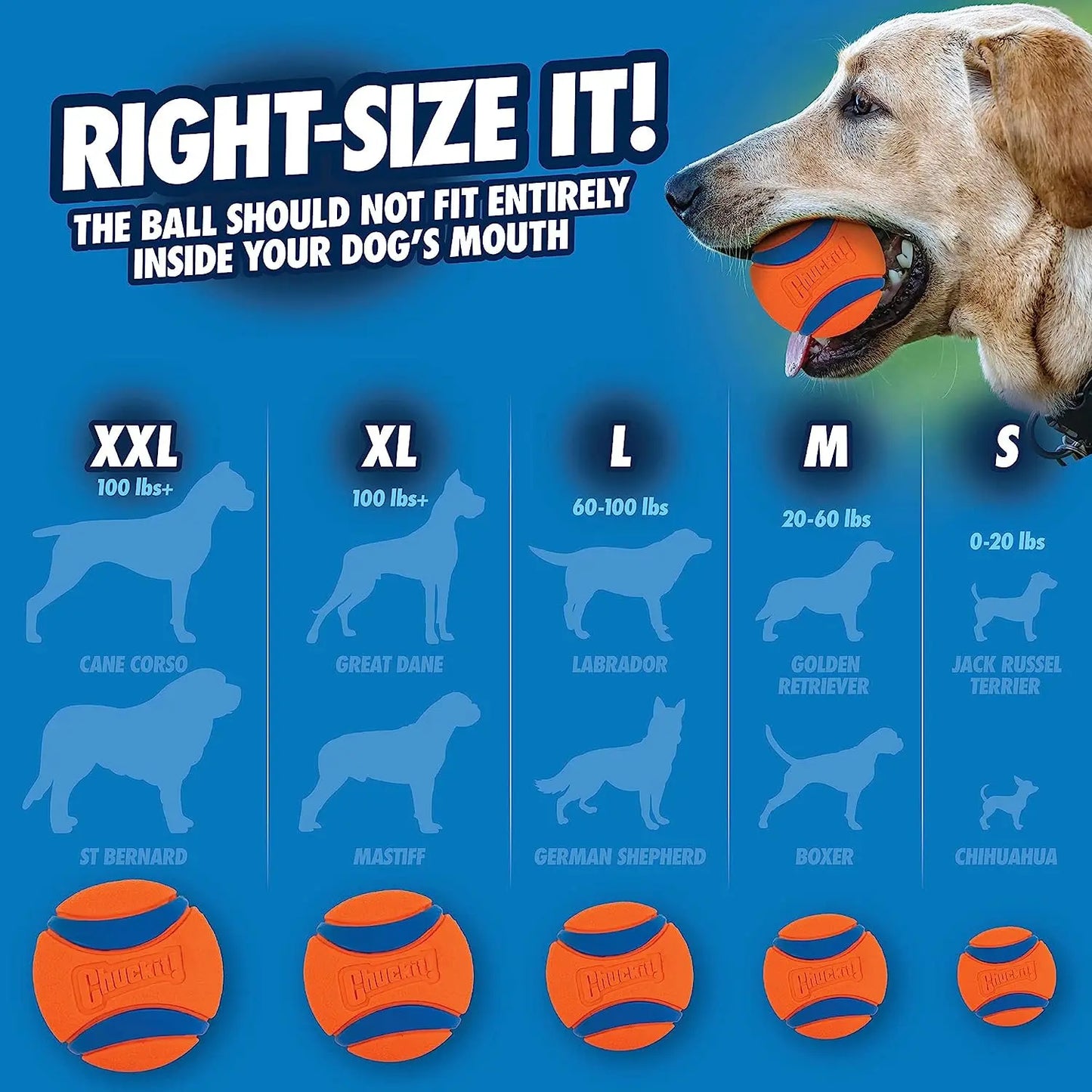 Super Dog Toy Ball